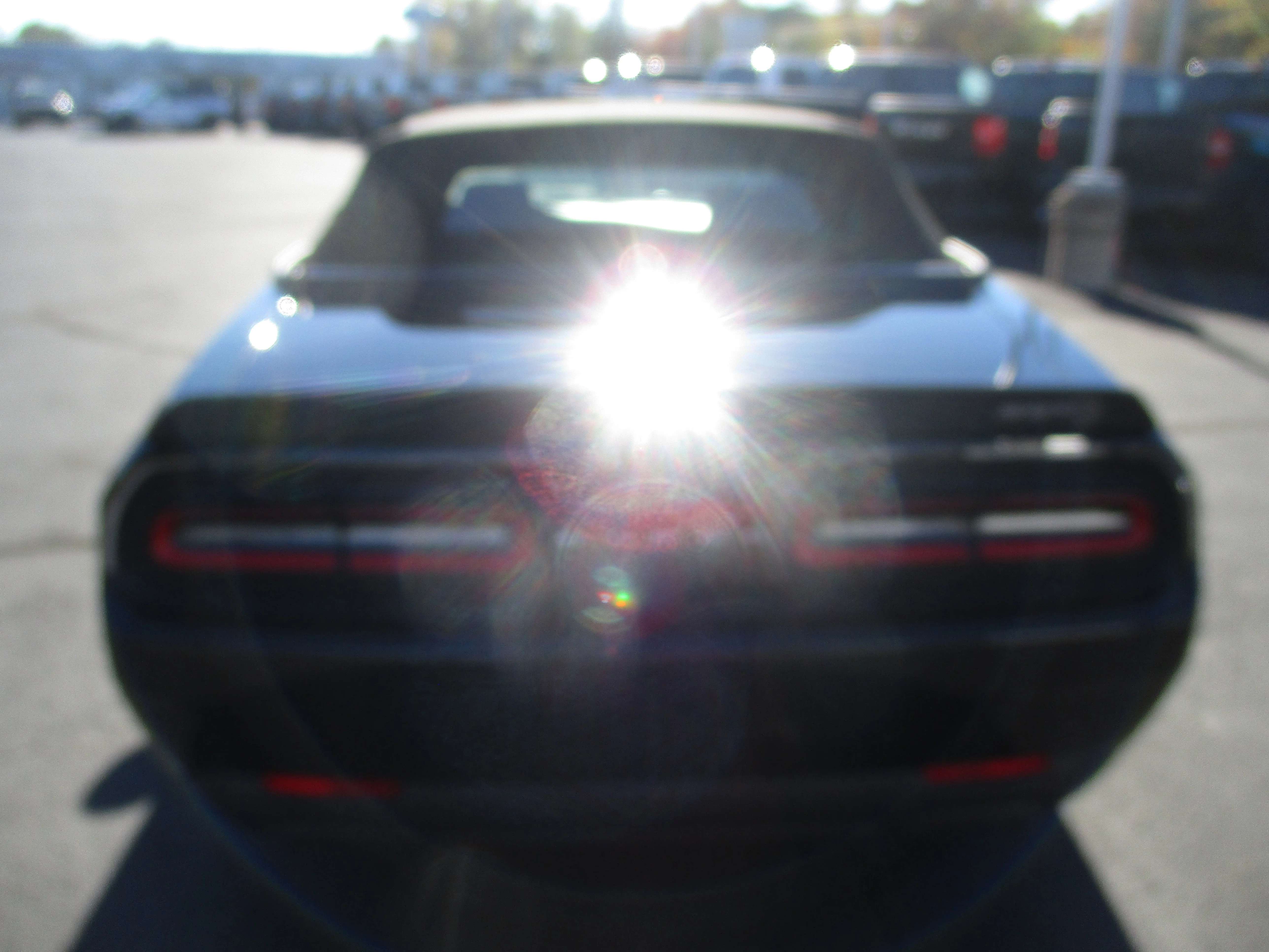 Photo 50
