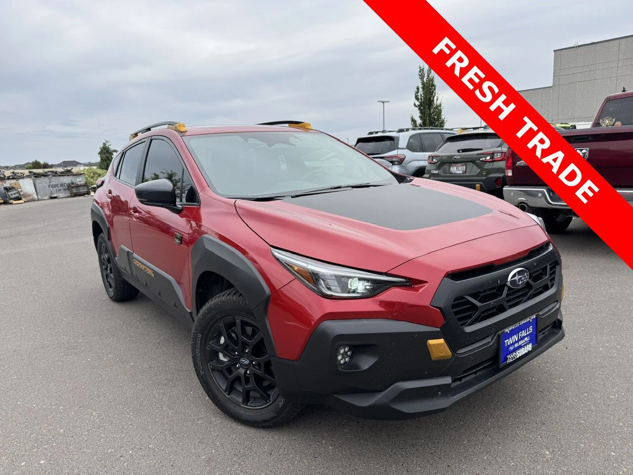 2024 Subaru Crosstrek Wilderness CVT's photo