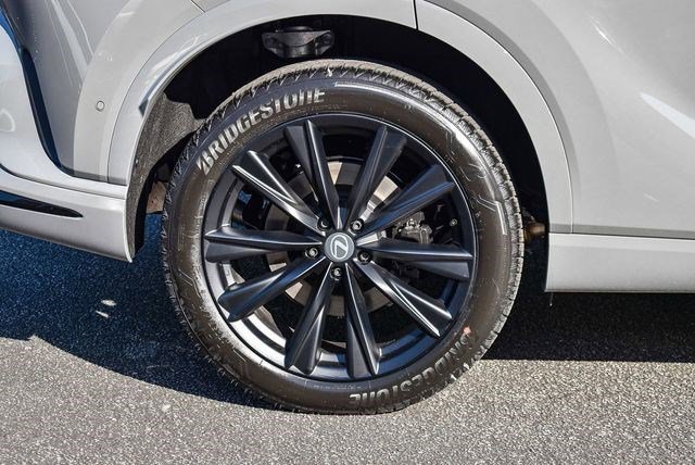 2026 Lexus RX 500h F-Sport - Photo 11