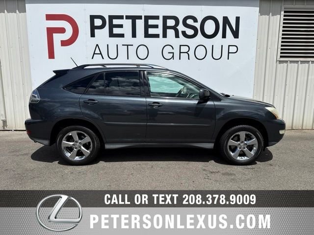Used 2007 Gray Lexus Luxury image 3