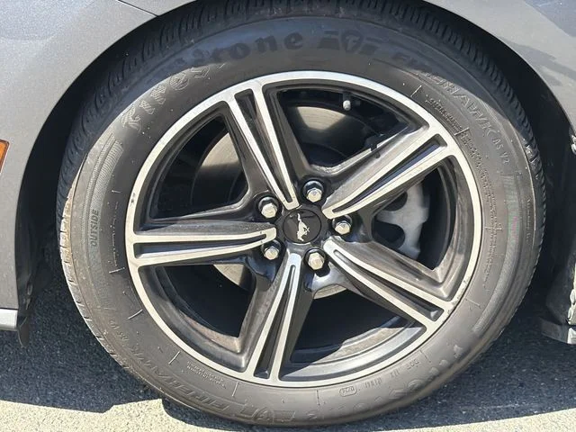 Used 2024 Gray Ford EcoBoost Premium image 16