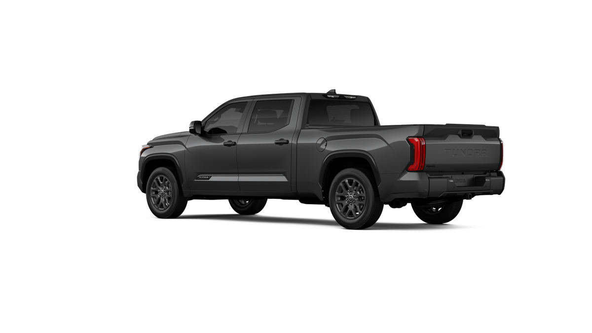New 2026 Magnetic Gray Metallic Toyota Platinum image 28