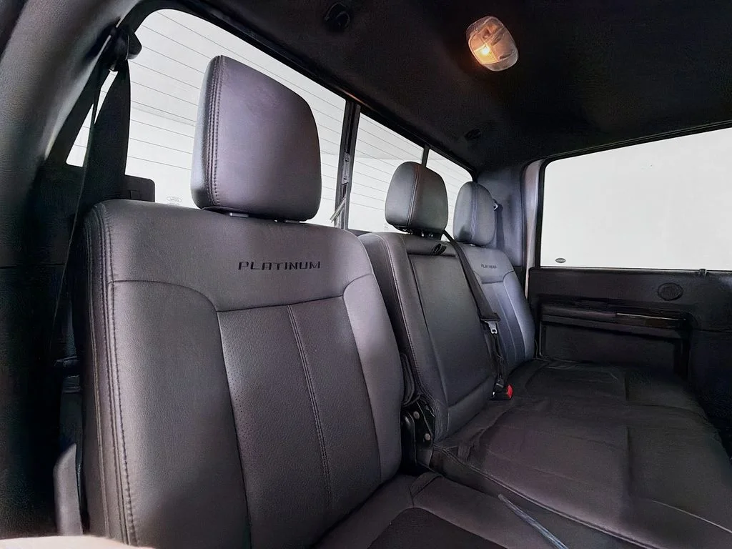 Used 2016 Silver Ford Platinum image 24