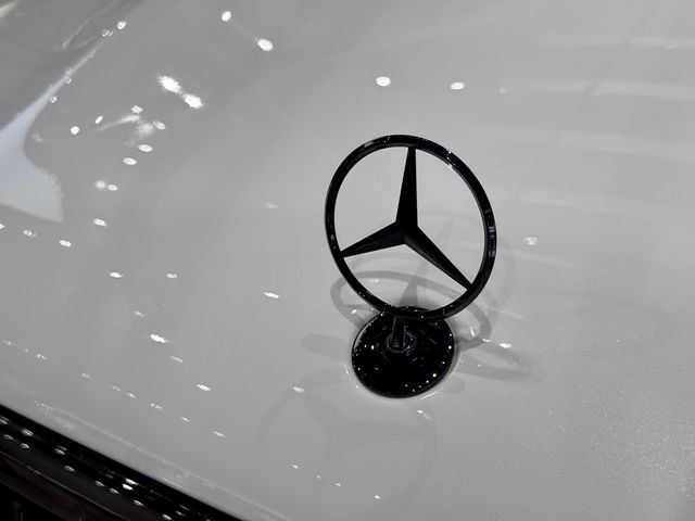 New 2026 MANUFAKTUR Moonlight White Metallic Mercedes-Benz Maybach GLS 600 image 35