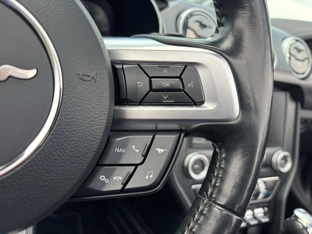 Used 2019 Black Ford GT Premium image 29