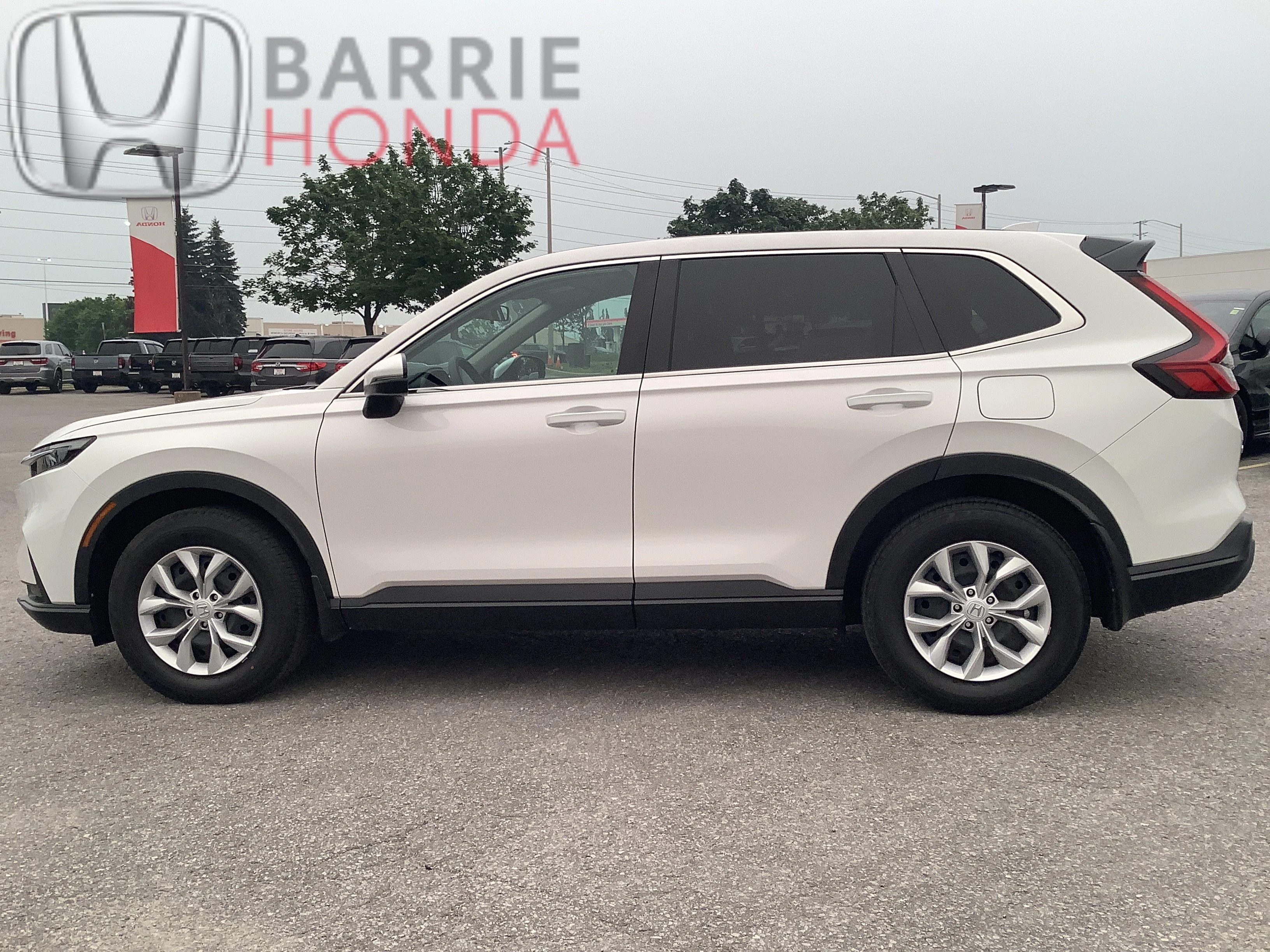 Used 2024 Platinum White Pearl Honda LX-B image 6