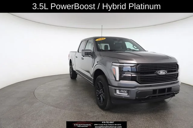 Used 2025 Gray Ford Platinum image 28