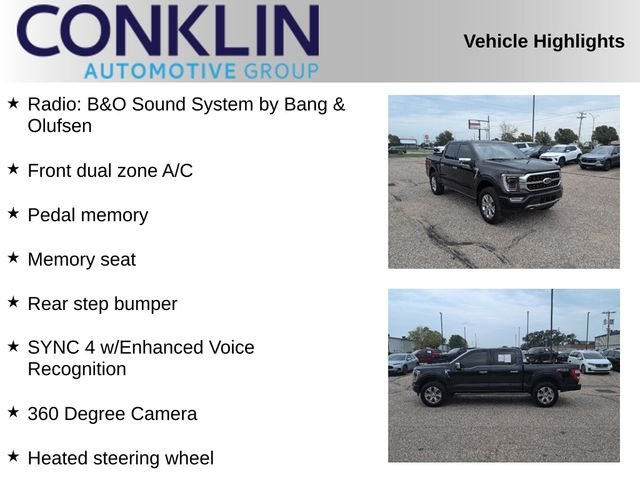 Used 2022 Blue Ford Platinum image 2