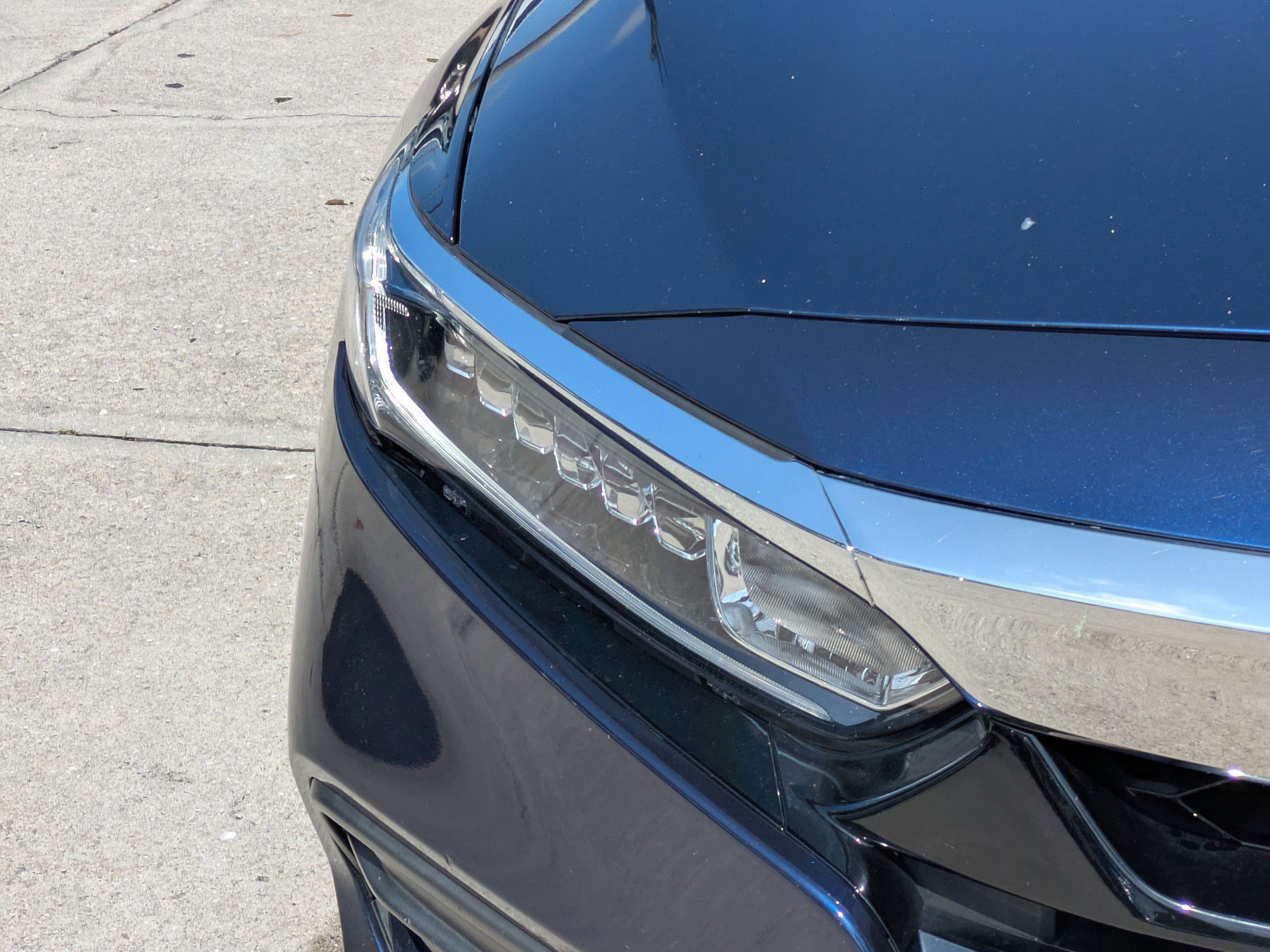 Used 2019 Obsidian Blue Pearl Honda LX 1.5T image 9