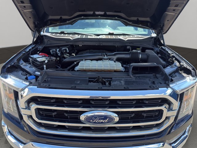 Used 2023 Blue Ford XLT image 21