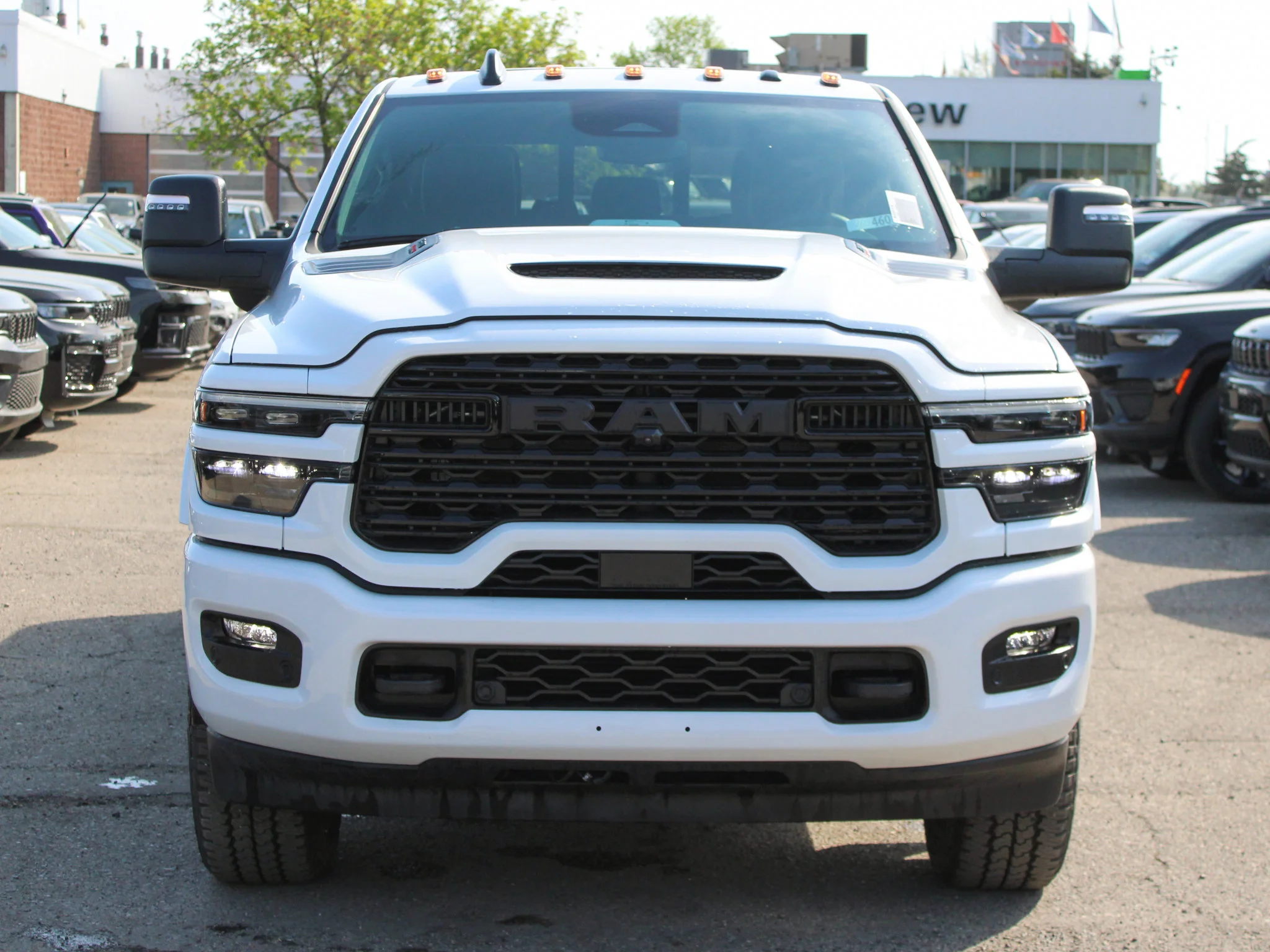 New 2026 White RAM Limited* image 8
