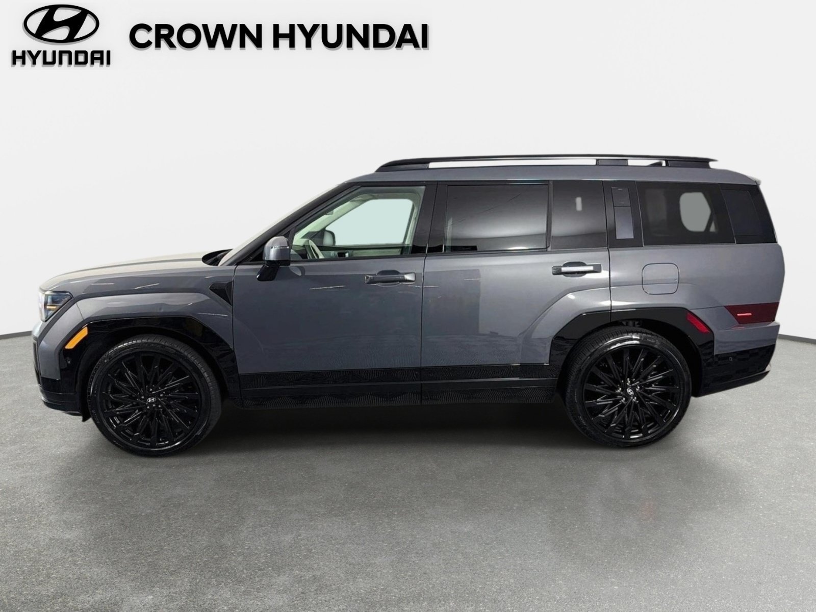Used 2024 Ecotronic Gray Hyundai Calligraphy image 8