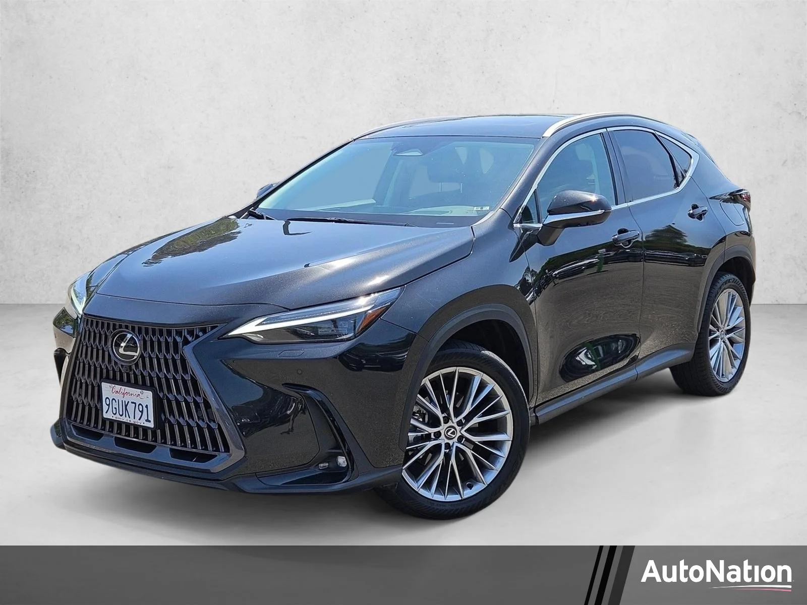 2024 Lexus NX 350 350 Luxury AWD's photo