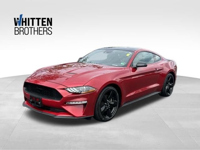 Used 2022 Red Ford EcoBoost Premium image 1