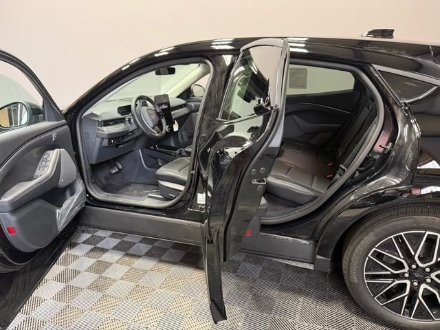New 2026 Shadow Black Ford Premium image 13