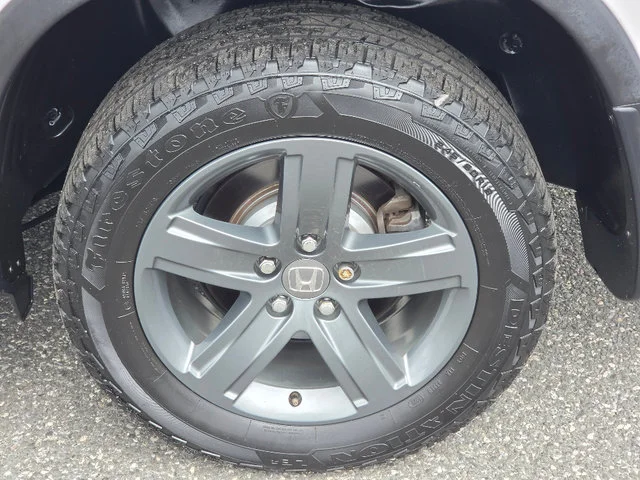 Photo 17