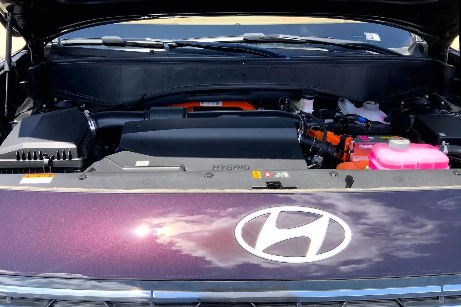 New 2026 Galaxy Maroon Pearl Hyundai Calligraphy image 16