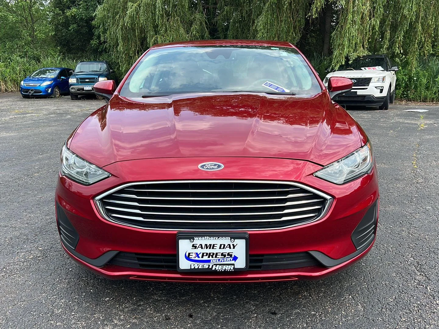Used 2019 Ruby Red Metallic Tinted Clearcoat Ford SE image 16