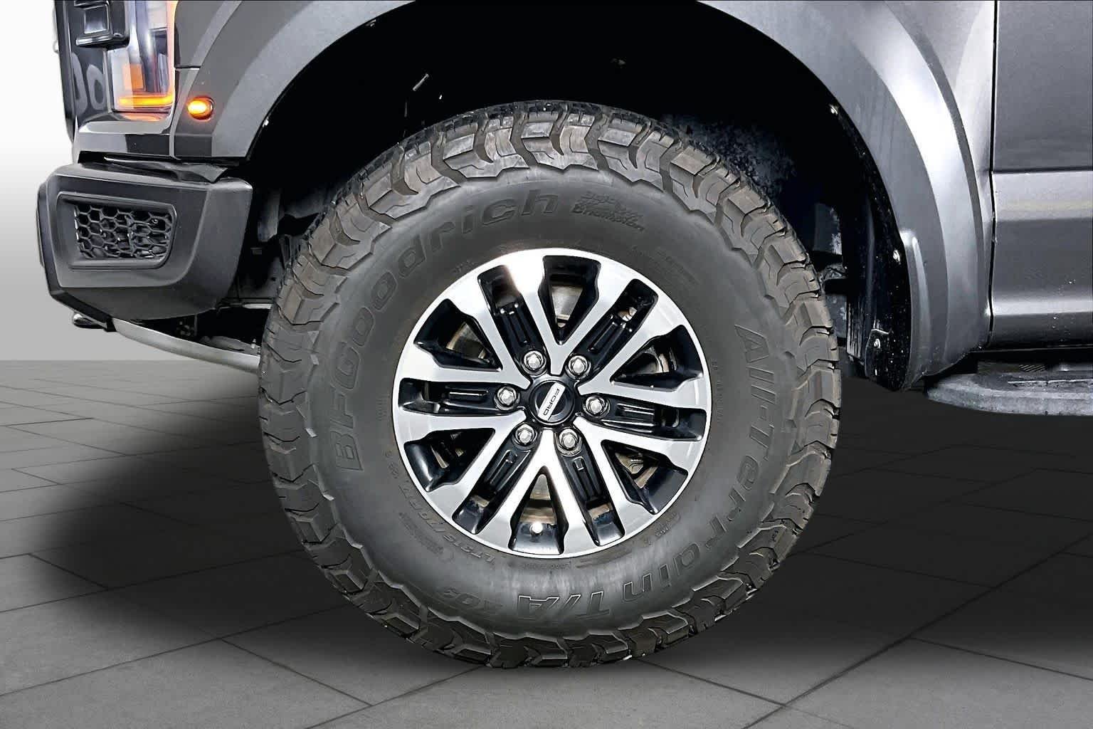 2019 Ford F-150 Raptor - Photo 11