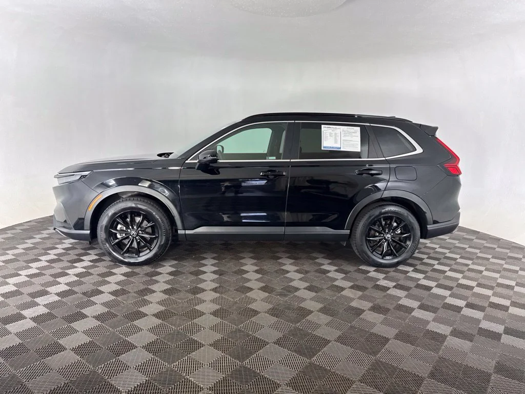 Used 2024 Black Honda Sport image 9