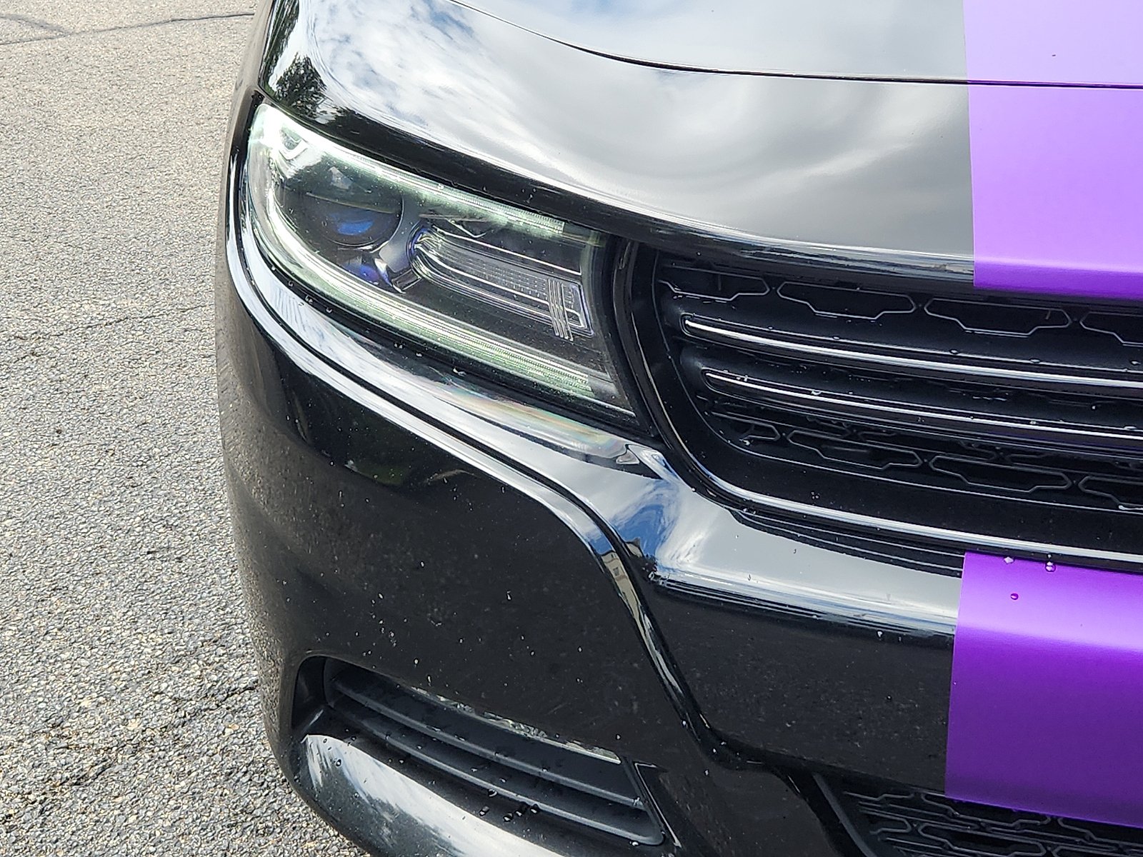Certified Used 2016 Pitch Black Clearcoat - PX8 Dodge R/T image 9