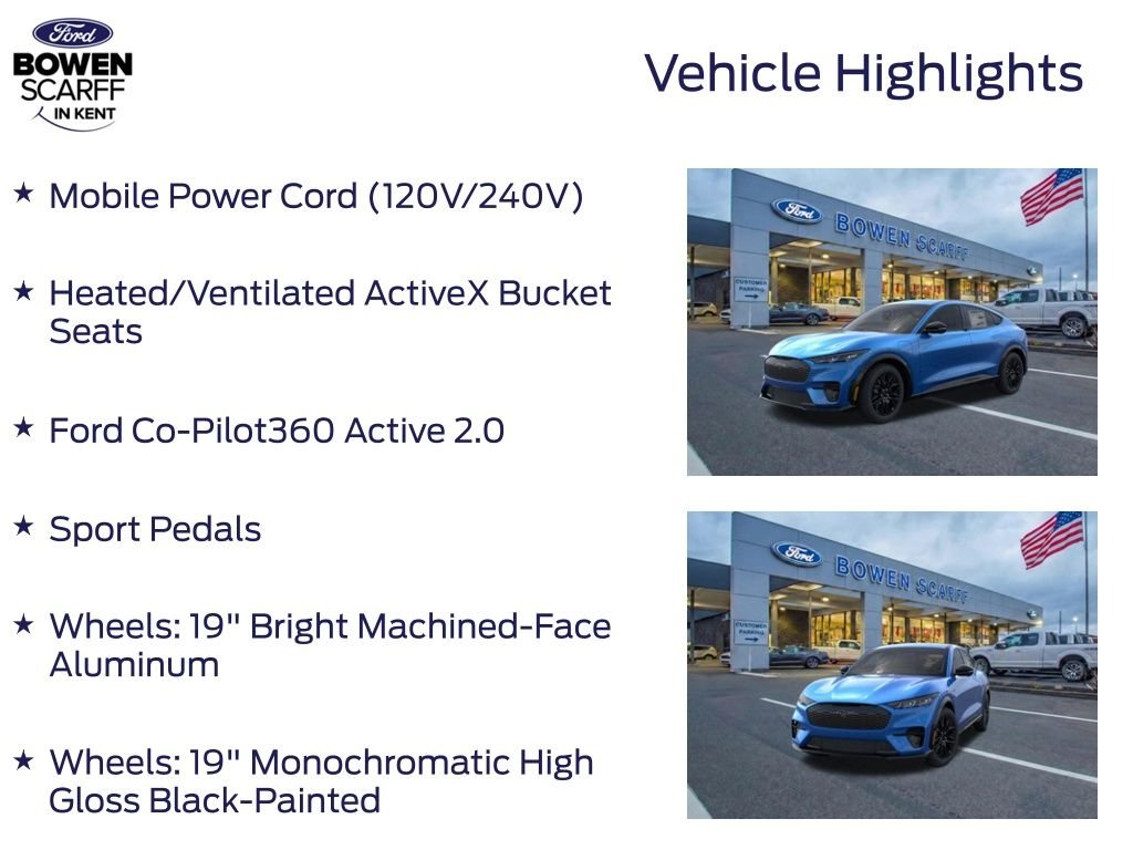New 2026 Velocity Blue Metallic Ford Premium image 13