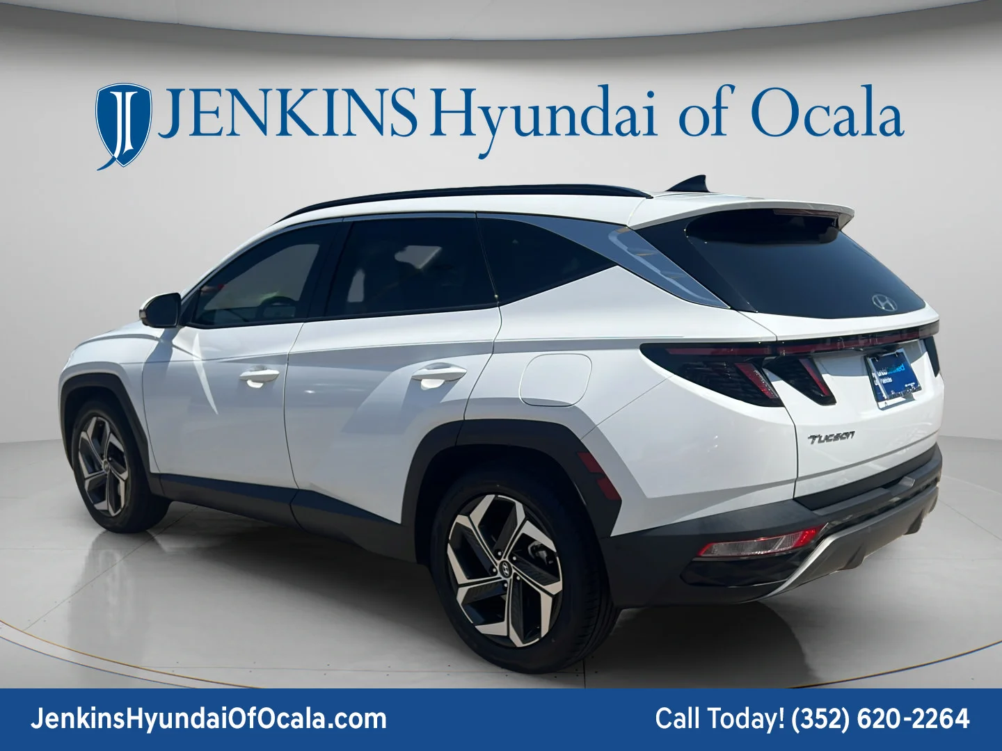 Used 2023 Serenity White Pearl Hyundai Limited image 5