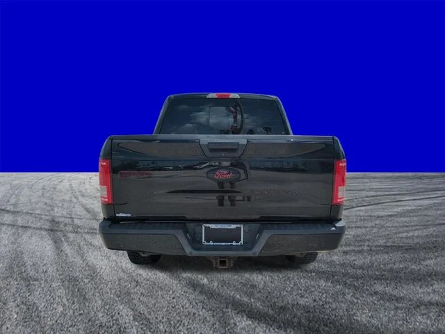 Used 2016 Black Ford XLT image 5