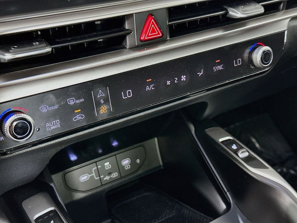 Used 2025 Panthera Metal Kia EX image 17