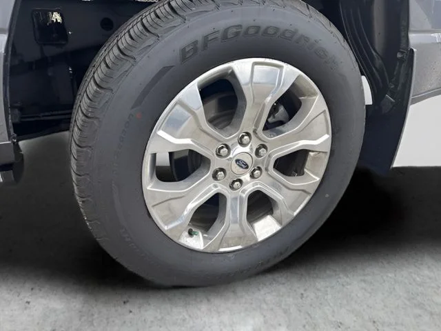 Used 2021 Gray Ford Platinum image 19