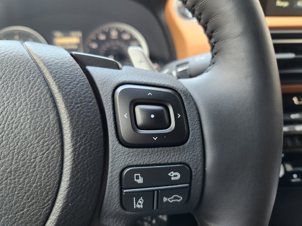 Certified Used 2024 Iridium Lexus 300 image 29
