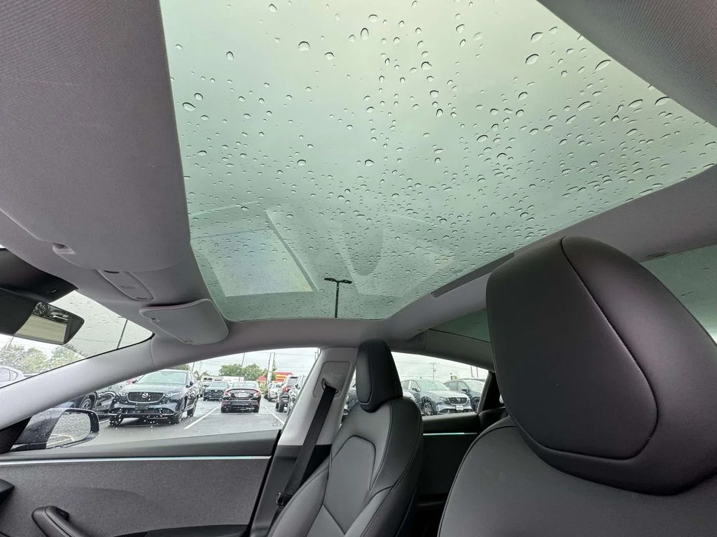 2025 Tesla Model 3 Long Range - Photo 15