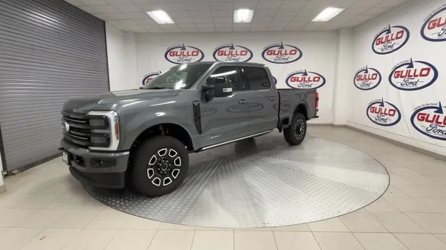 New 2026 Carbonized Gray Metallic Ford Platinum image 6