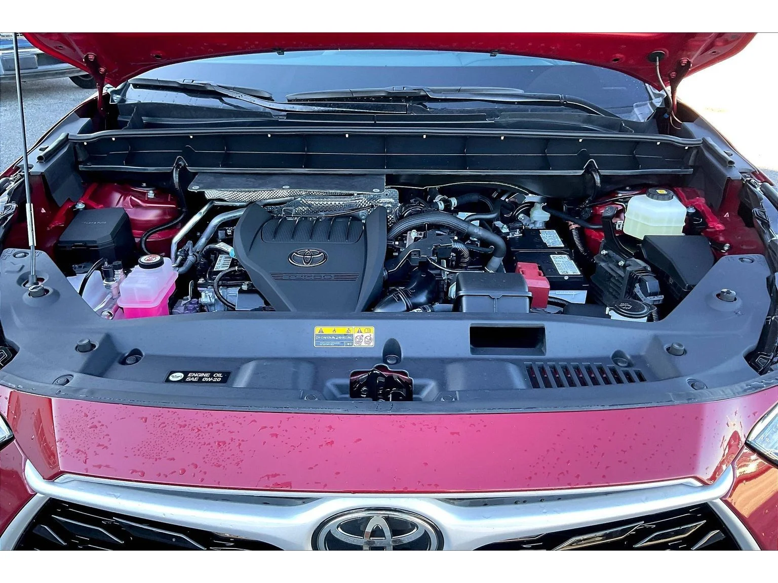 Used 2026 Red Toyota XLE image 8