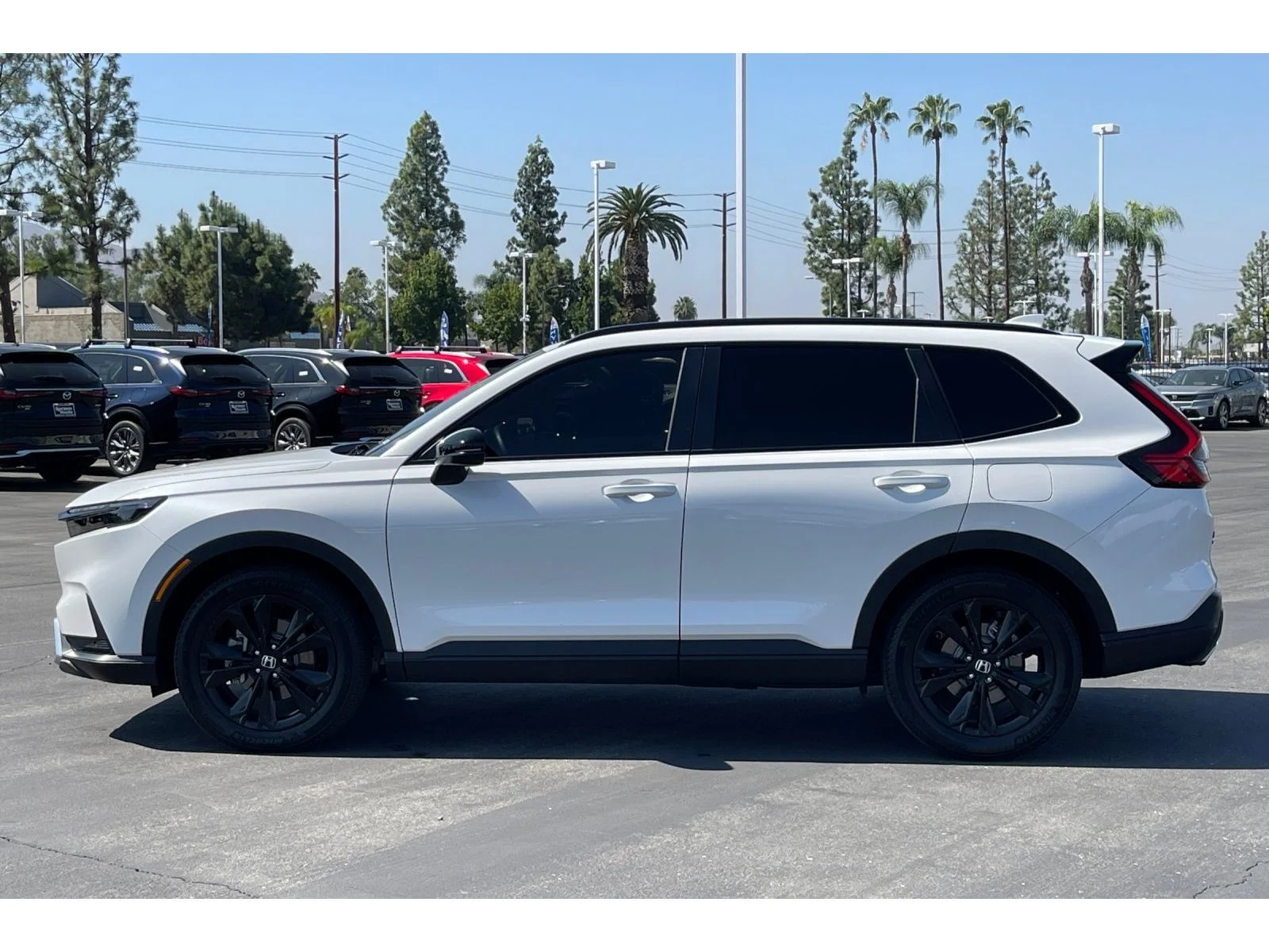 Used 2026 Platinum White Pearl Honda Sport Touring image 2