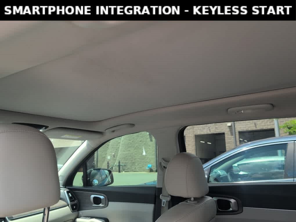 Used 2022 Aruba Green Kia X-Line EX image 7
