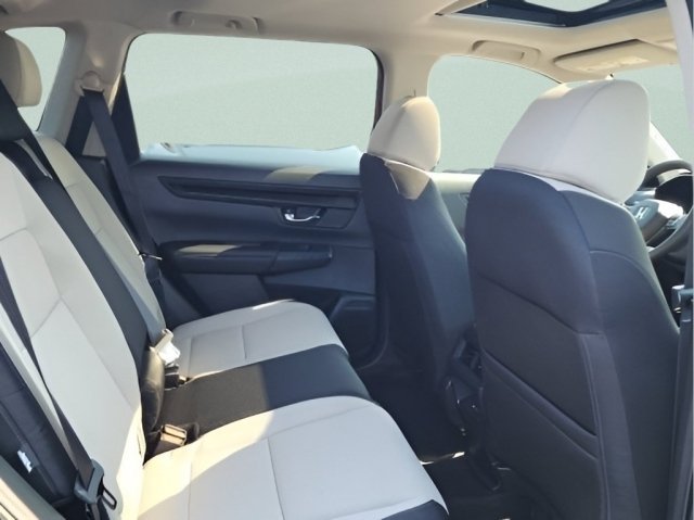New 2026 Platinum White Pearl Honda EX image 17