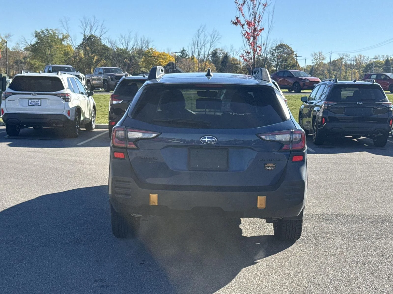 Used 2025 Geyser Blue Subaru Wilderness image 6