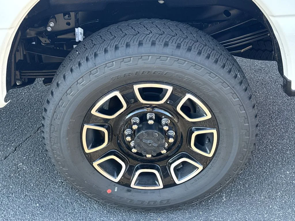 New 2026 White Ford Platinum image 19
