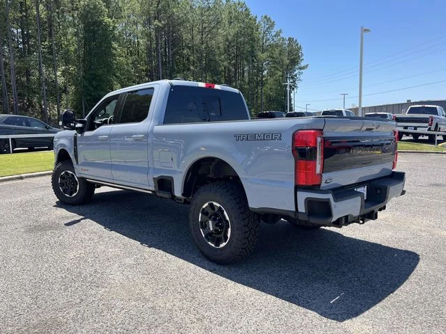 New 2026 Glacier Gray Metallic Tri-Coat Ford Platinum image 3