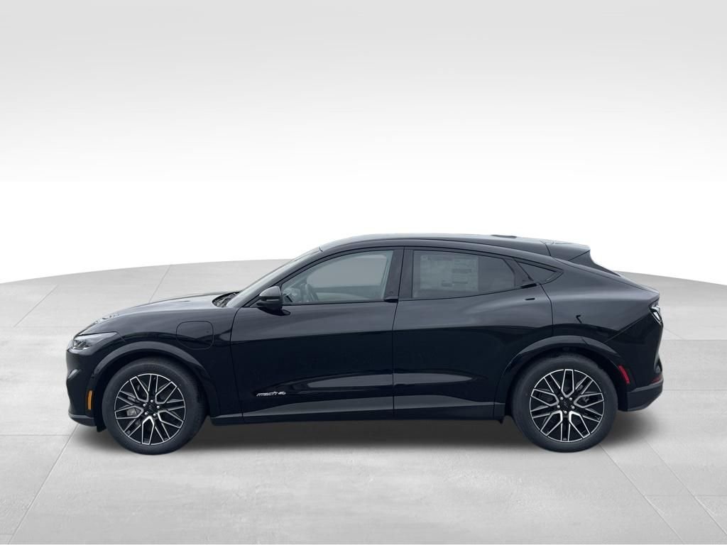 New 2026 Shadow Black Ford Premium image 6