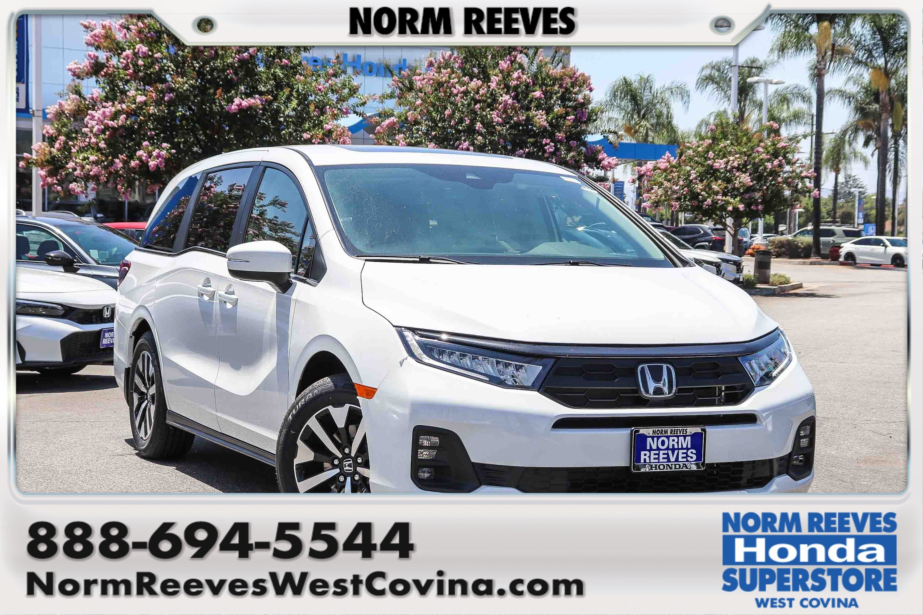 New 2026 Platinum White Pearl Honda EX-L Auto image 1