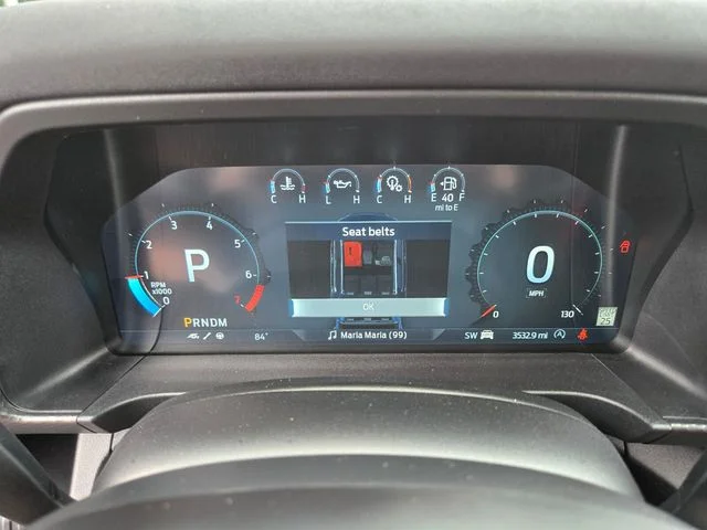 Used 2025 Gray Ford Raptor image 33