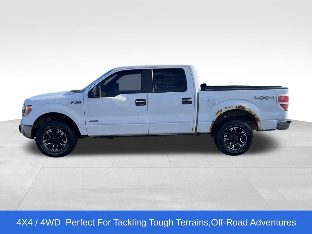 Used 2011 Ford F-150 XLT with VIN 1FTFW1ET4BKE02516 for sale in Northfield, Minnesota