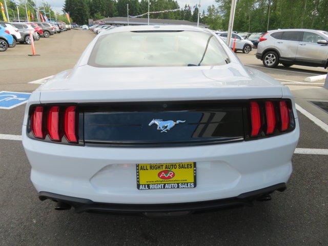 Used 2019 Oxford White Ford EcoBoost image 4