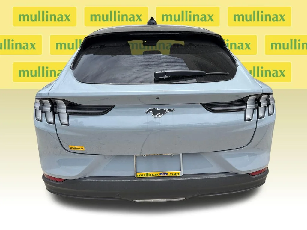 New 2026 Gray Ford Premium image 14