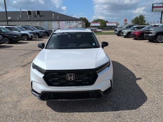 New 2026 White Honda Sport-L image 14