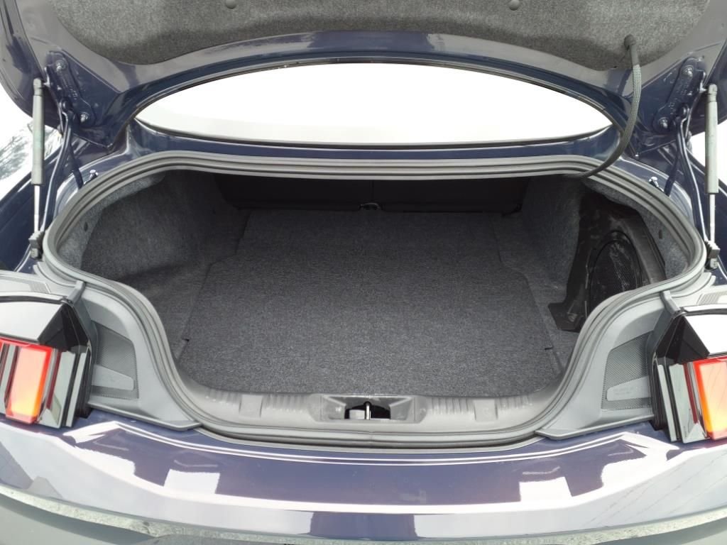 2025 Ford Mustang Dark Horse - Photo 8