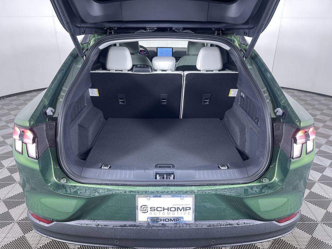 New 2026 Eruption Green Metallic Ford Premium image 25