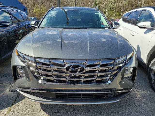 New 2024 Amazon Gray Hyundai Limited image 2